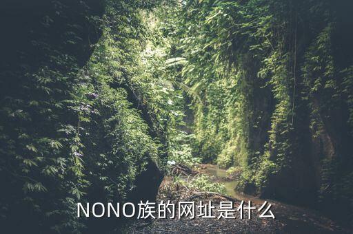 NONO族的网址是什么