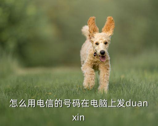 怎么用电信的号码在电脑上发duanxin