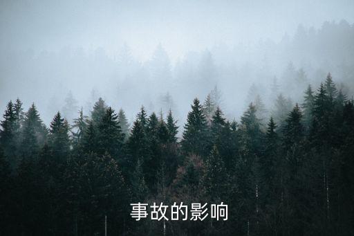  事故的影响