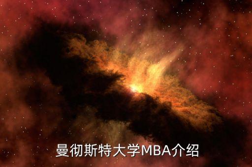  曼彻斯特大学MBA介绍