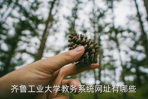 齐鲁工业大学教务系统网址有哪些