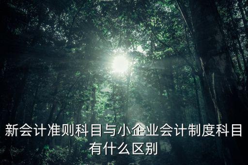 新会计准则科目与小企业会计制度科目有什么区别