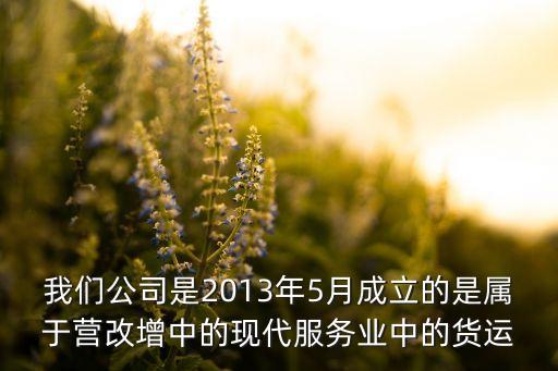 我们公司是2013年5月成立的是属于营改增中的现代服务业中的货运