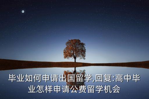 毕业如何申请出国留学,回复:高中毕业怎样申请公费留学机会