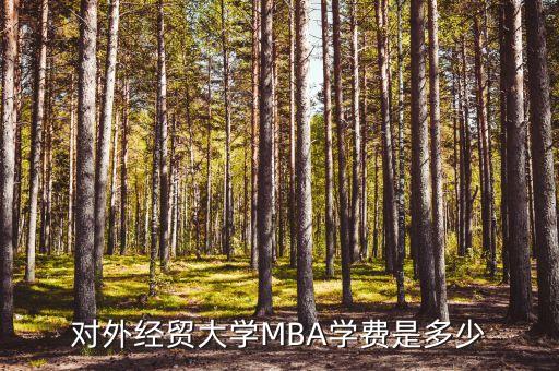 对外经贸大学MBA学费是多少