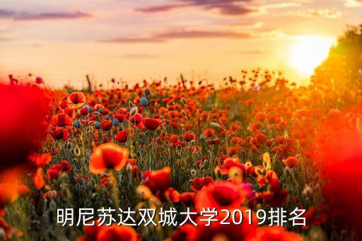 明尼苏达双城大学2019排名