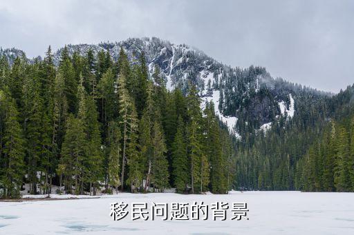  移民问题的背景