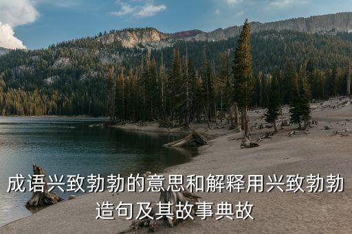 成语兴致勃勃的意思和解释用兴致勃勃造句及其故事典故