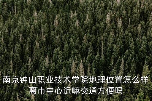 南京钟山职业技术学院地理位置怎么样离市中心近嘛交通方便吗