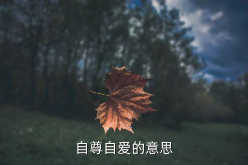 自尊自爱的意思