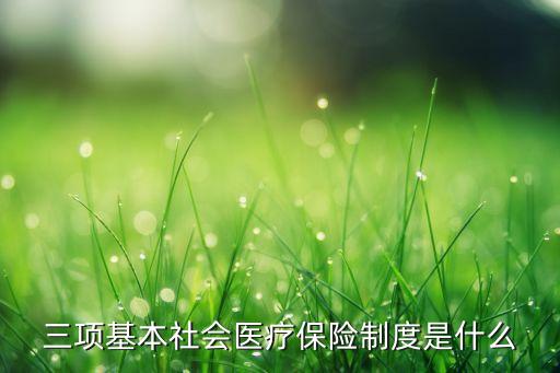 三项基本社会医疗保险制度是什么