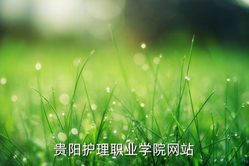 贵阳护理职业学院网站