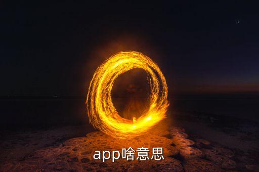 app啥意思