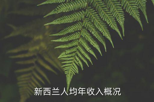  新西兰人均年收入概况