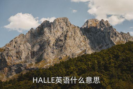 HALLE英语什么意思