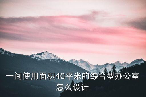 一间使用面积40平米的综合型办公室怎么设计