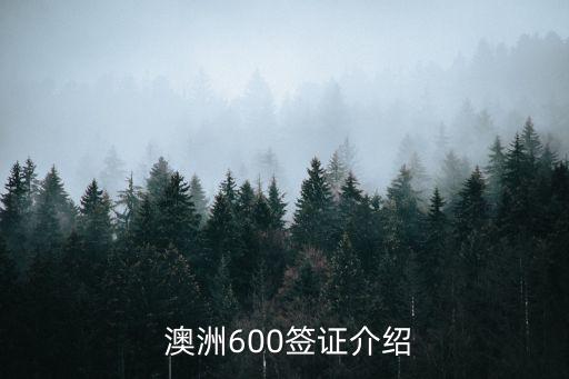  澳洲600签证介绍