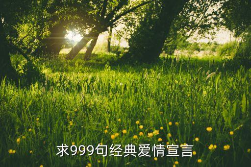 求999句经典爱情宣言