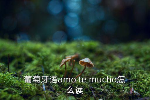 葡萄牙语amo te mucho怎么读