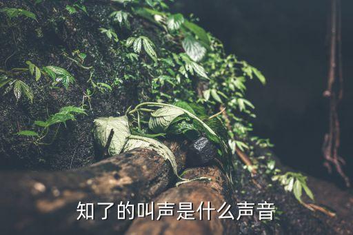 知了的叫声是什么声音