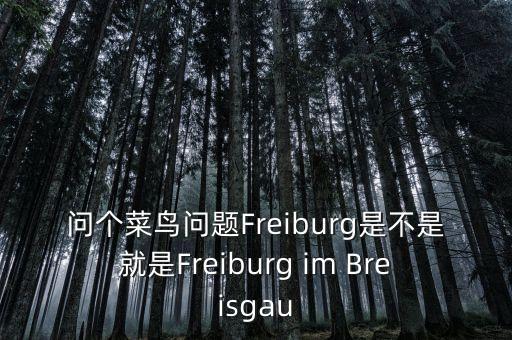 问个菜鸟问题Freiburg是不是就是Freiburg im Breisgau