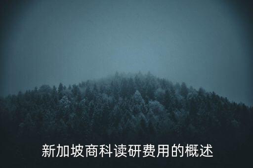  新加坡商科读研费用的概述