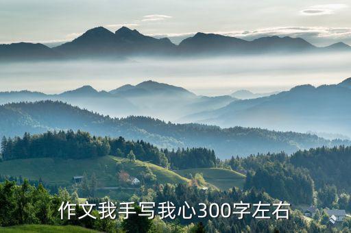 作文我手写我心300字左右