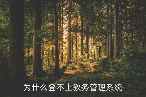 为什么登不上教务管理系统