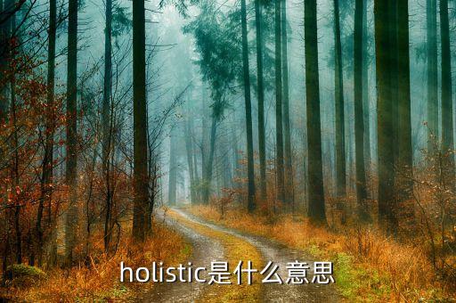 holistic是什么意思