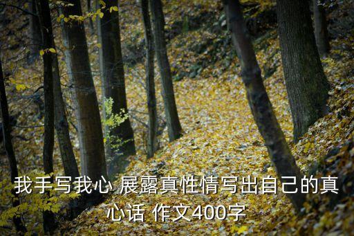 我手写我心 展露真性情写出自己的真心话 作文400字