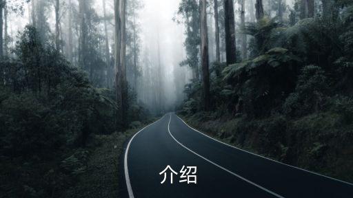  介绍