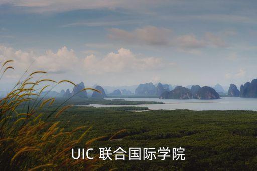 UIC 联合国际学院