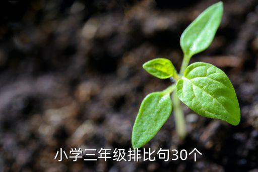 小学三年级排比句30个