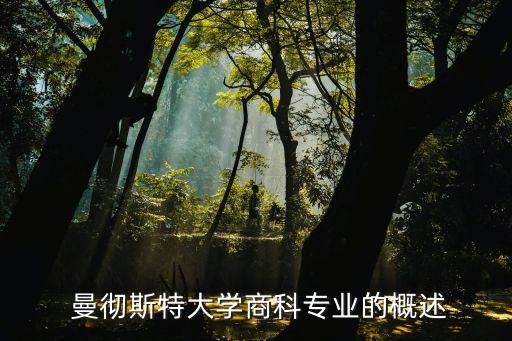  曼彻斯特大学商科专业的概述