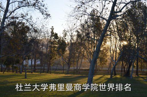 杜兰大学弗里曼商学院世界排名