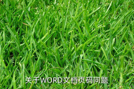 关于WORD文档页码问题