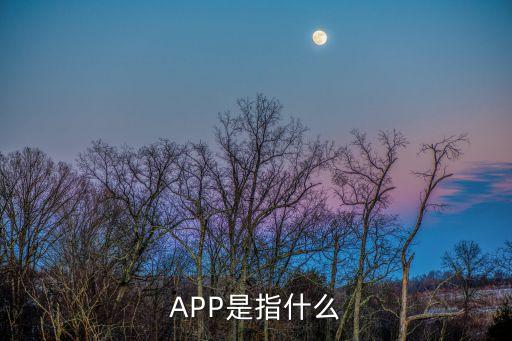 APP是指什么