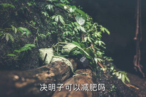 决明子可以减肥吗