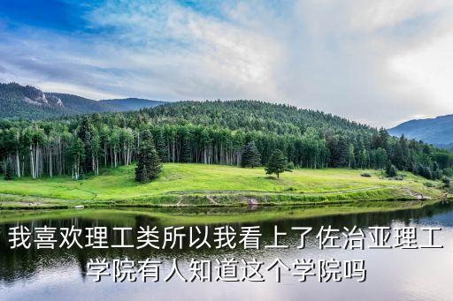 我喜欢理工类所以我看上了佐治亚理工学院有人知道这个学院吗