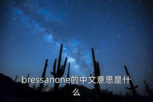 bressanone的中文意思是什么