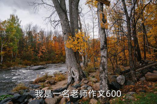 我是一名老师作文600