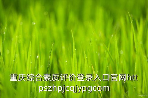 重庆综合素质评价登录入口官网httpszhpjcqjypgcom