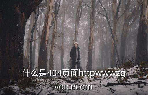 什么是404页面httpwwwzgvoicecom