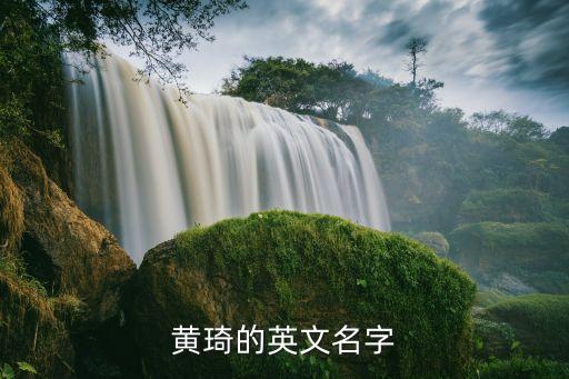 黄琦的英文名字