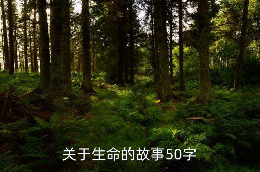 关于生命的故事50字