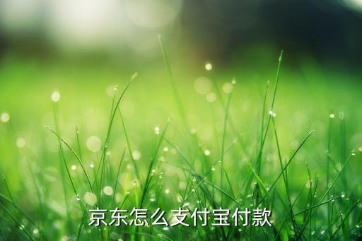 京东怎么支付宝付款