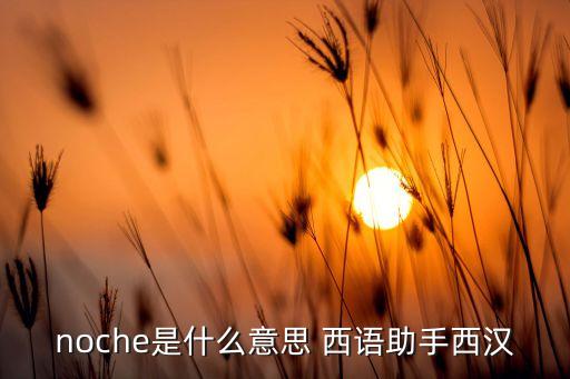 noche是什么意思 西语助手西汉