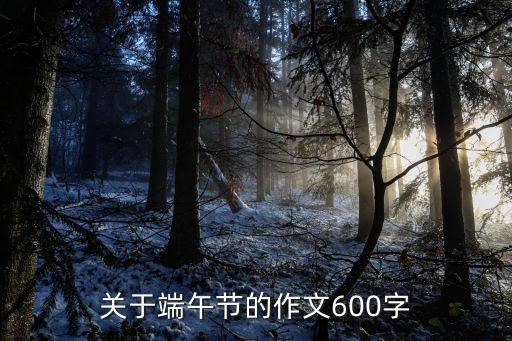 关于端午节的作文600字