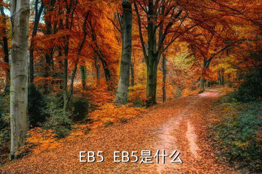 EB5  EB5是什么