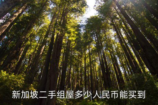 新加坡二手组屋多少人民币能买到